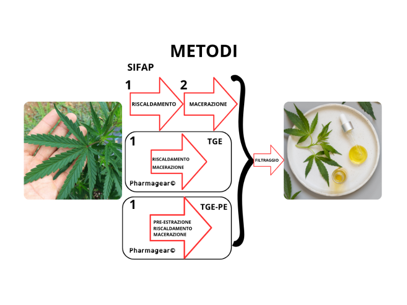 estrazione olio cannabis