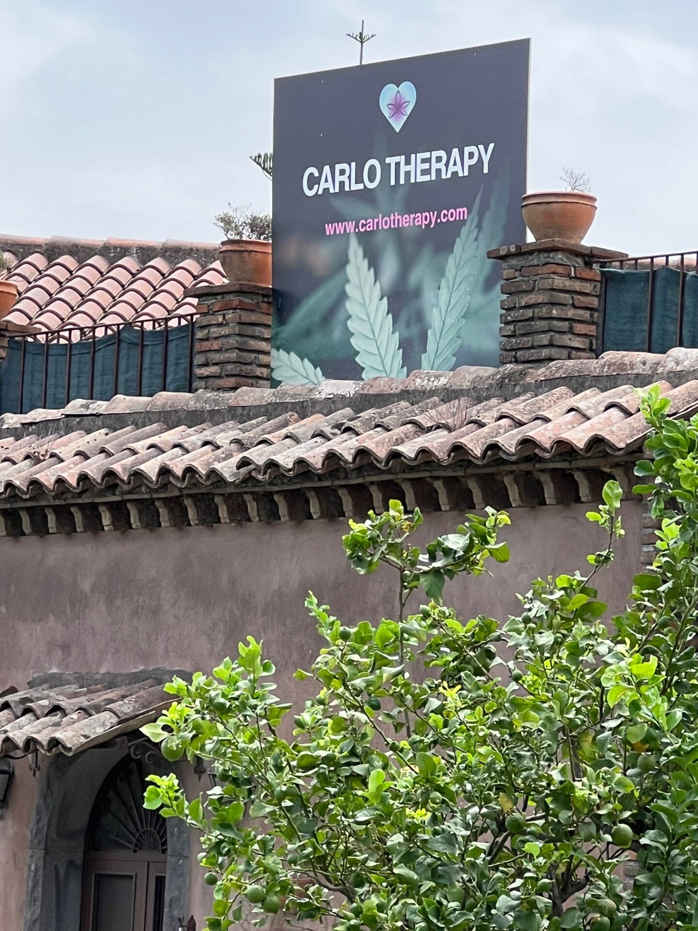 Associazione Carlo Therapy