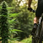 Cannabis e attività fisica: una combinazione che sorprende?